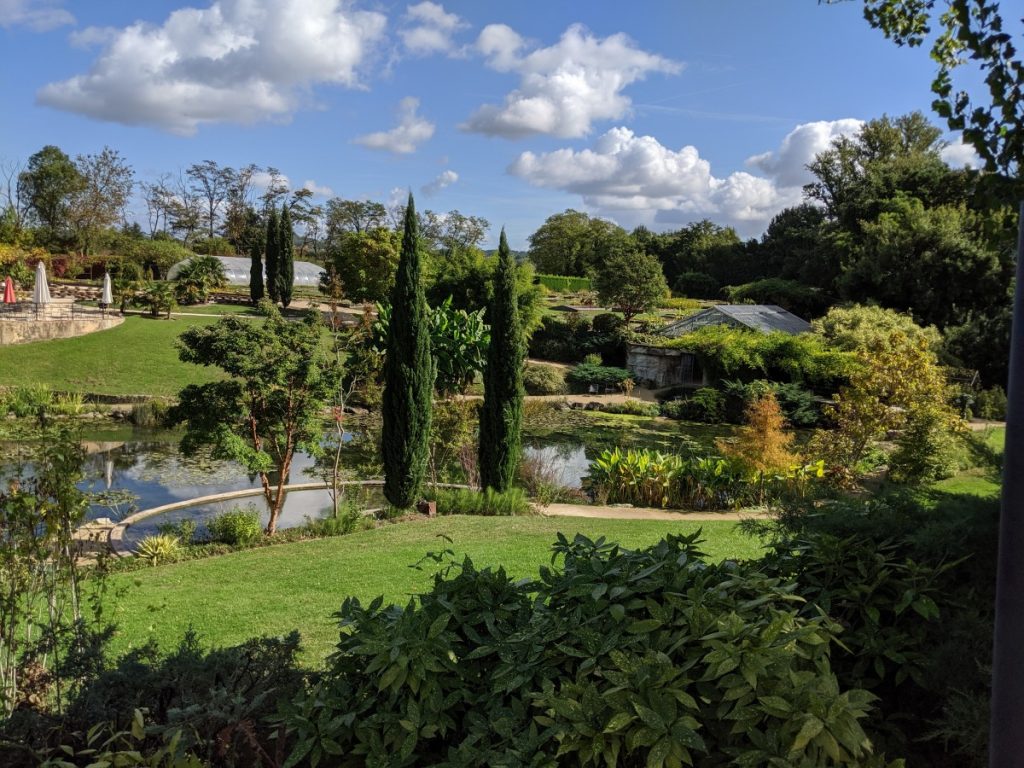 Garden view